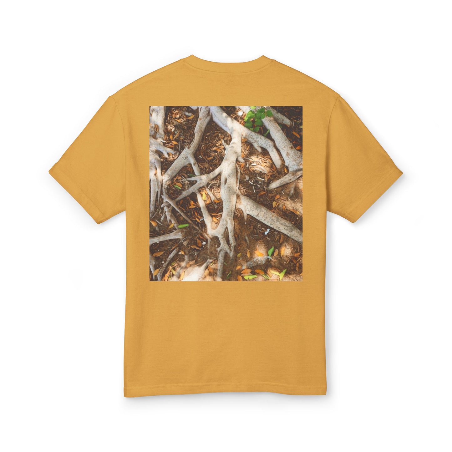 Roots of Conservation