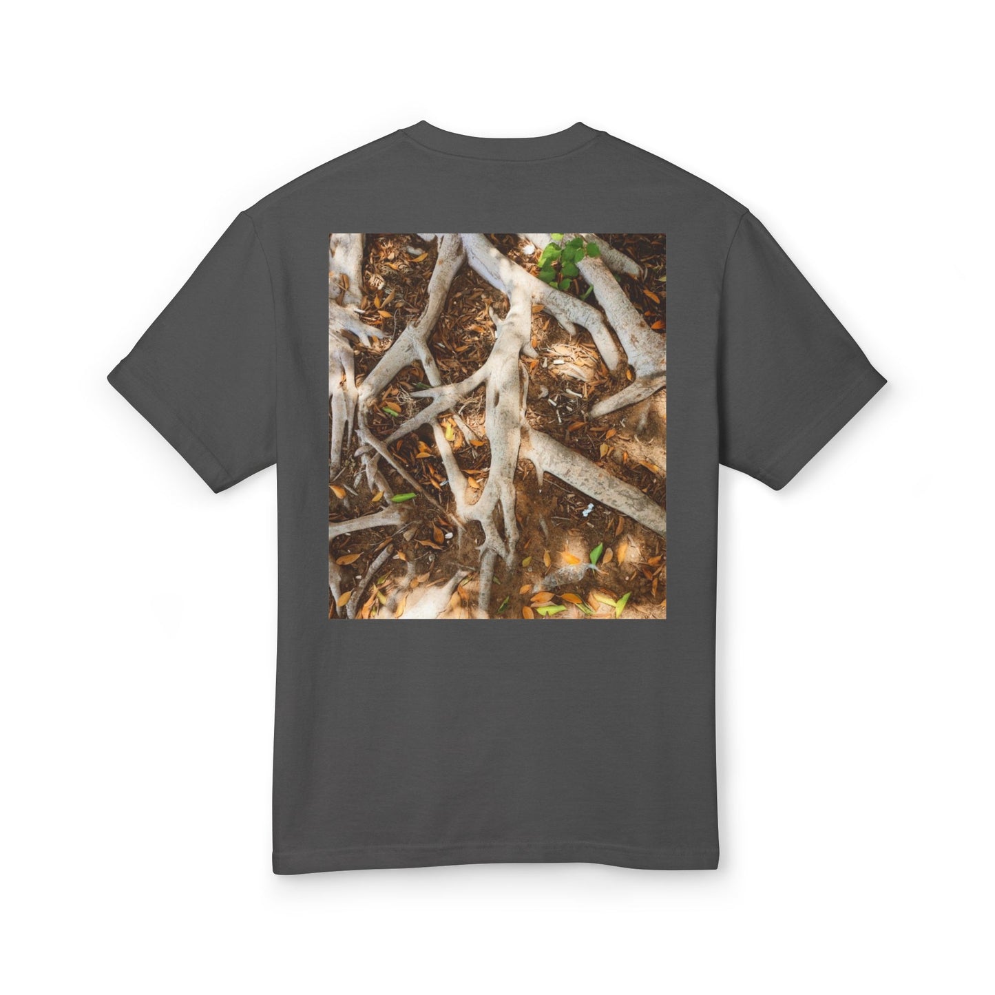 Roots of Conservation