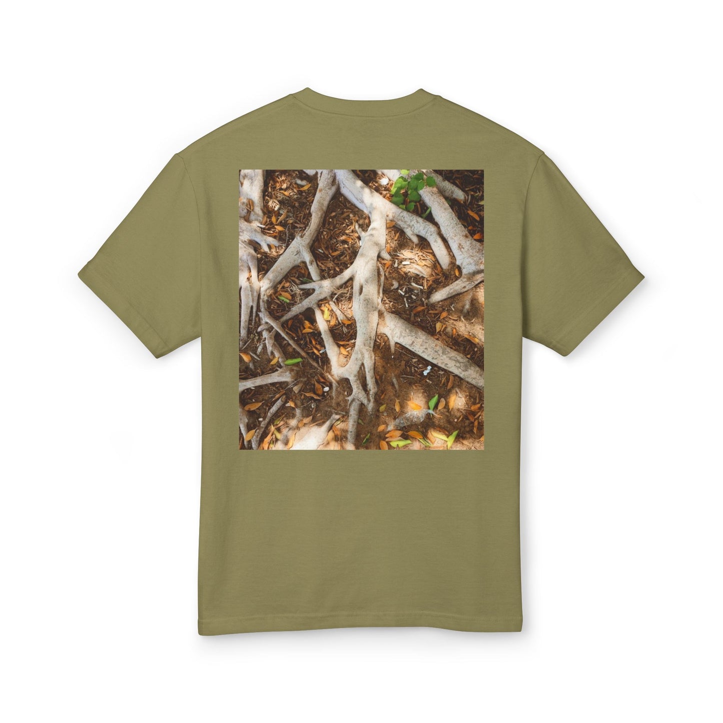 Roots of Conservation