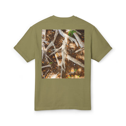 Roots of Conservation