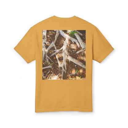 Roots of Conservation