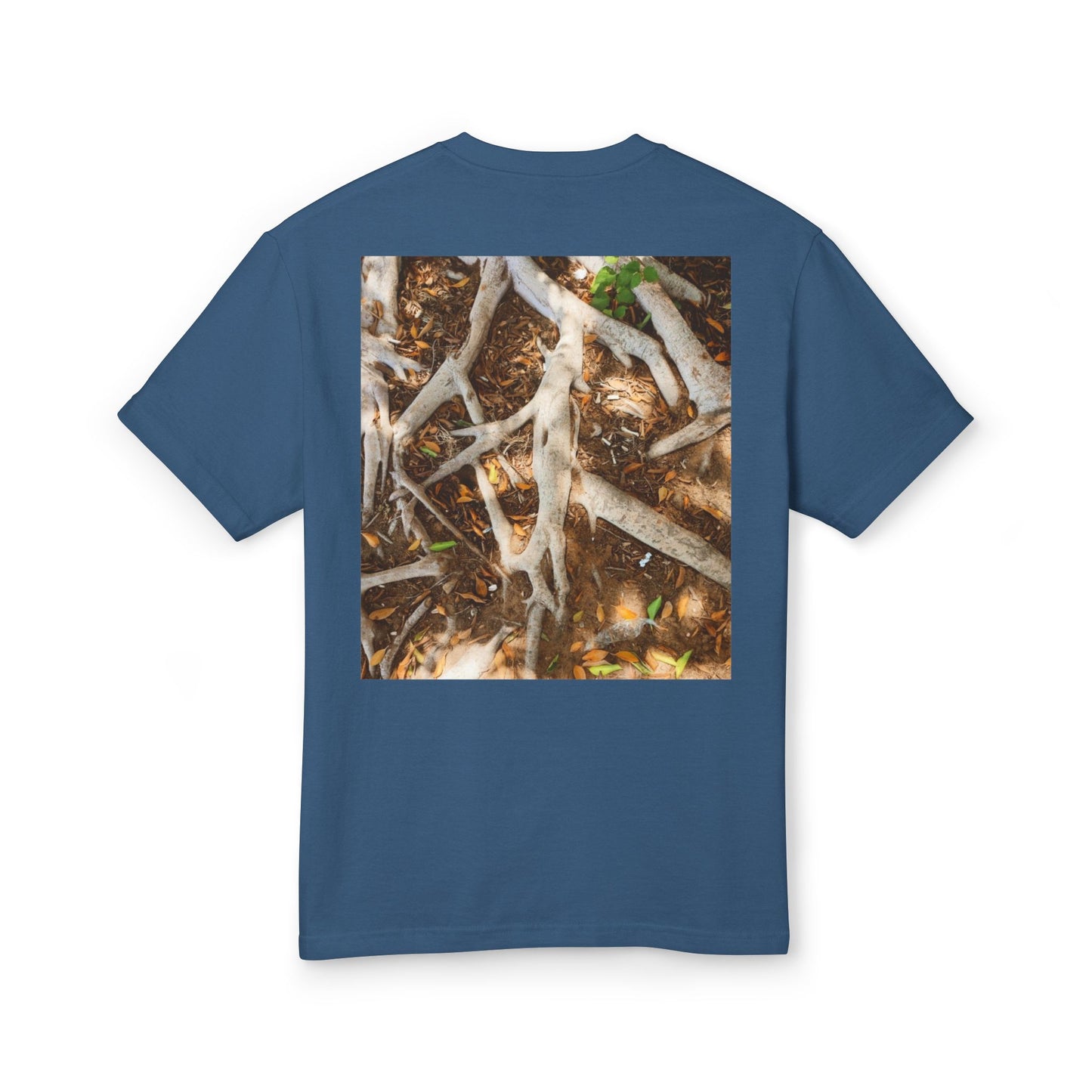 Roots of Conservation