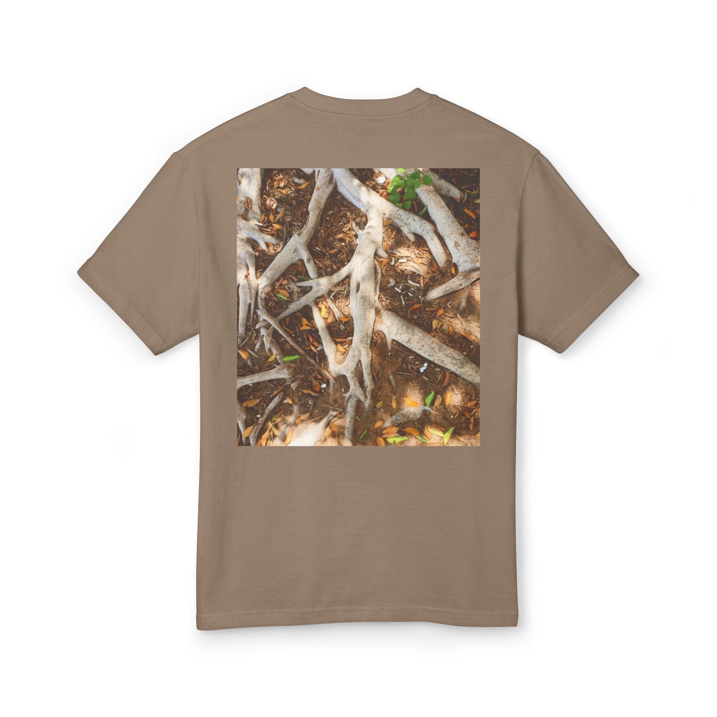 Roots of Conservation