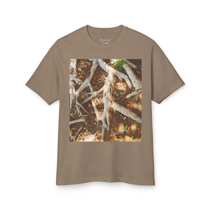 Roots of Conservation