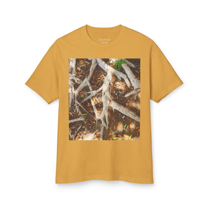 Roots of Conservation