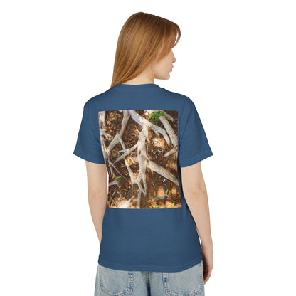 Roots of Conservation