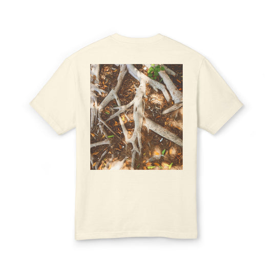 Roots of Conservation